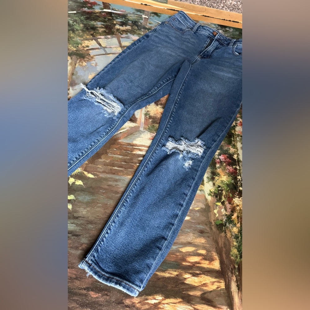 American Eagle Medium Blue Denim Jeans